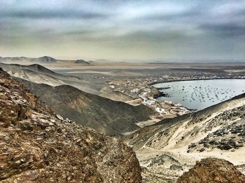 El Vuelo de Apis - Perú
